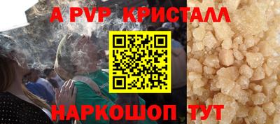сатива Новозыбков