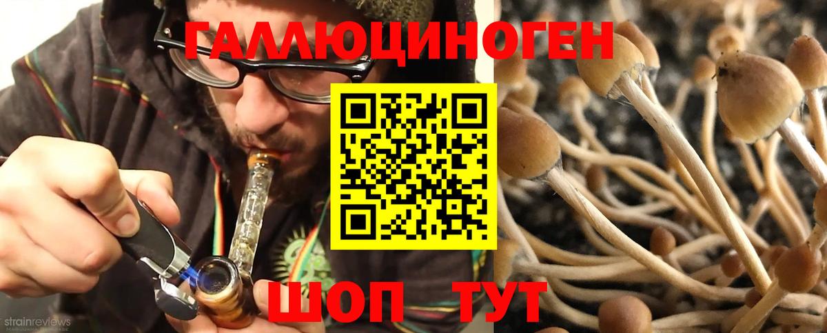 хочу   Псилоцибиновые грибы ЛСД  Вход с VPN  Подольск 